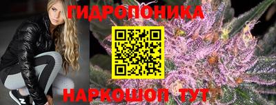 apvp Шелехов