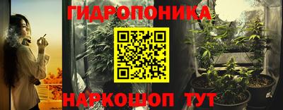 apvp Шелехов