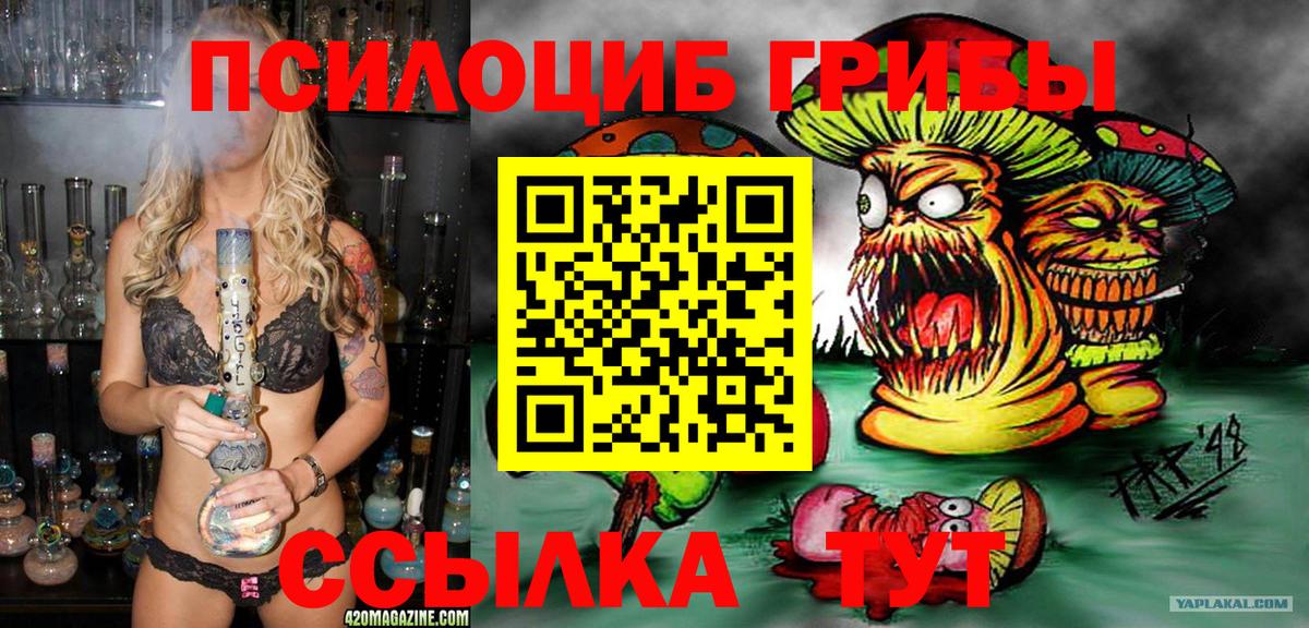 Галлюциногенные грибы ЛСД  Псилоцибиновые грибы Psilocybe  Вход с VPN  Кстово 
