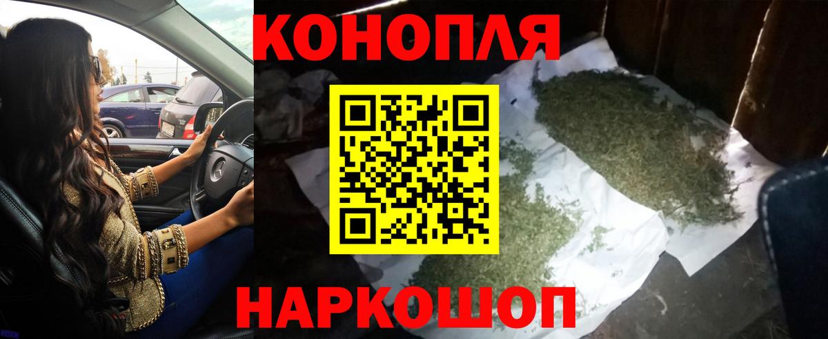 Марихуана сатива Кстово