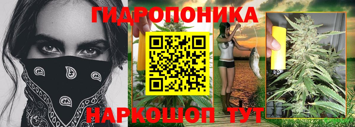 Шишки марихуана гибрид  Вход с VPN  Конопля индика  МАРИХУАНА индика  Кстово 
